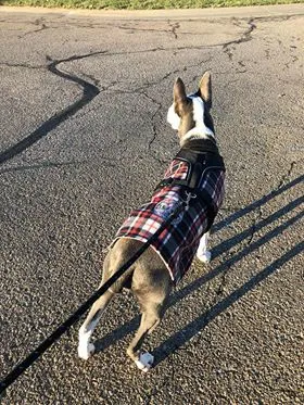 Adjustable Fleece Coats for Dogs and Cats with Drinking Buddy Embroidery